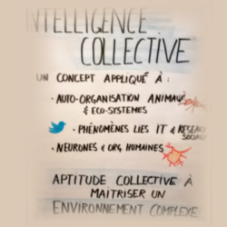 Intelligence collective et auto-organisation, transformation des organisations