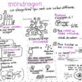 Mondragon coopérative, aventure socio-entrepreneuriale, intelligence collective, facilitation graphique