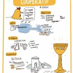 L'écosystème coopératif de terrtoire : le graal de la CEC ! sketchnote
