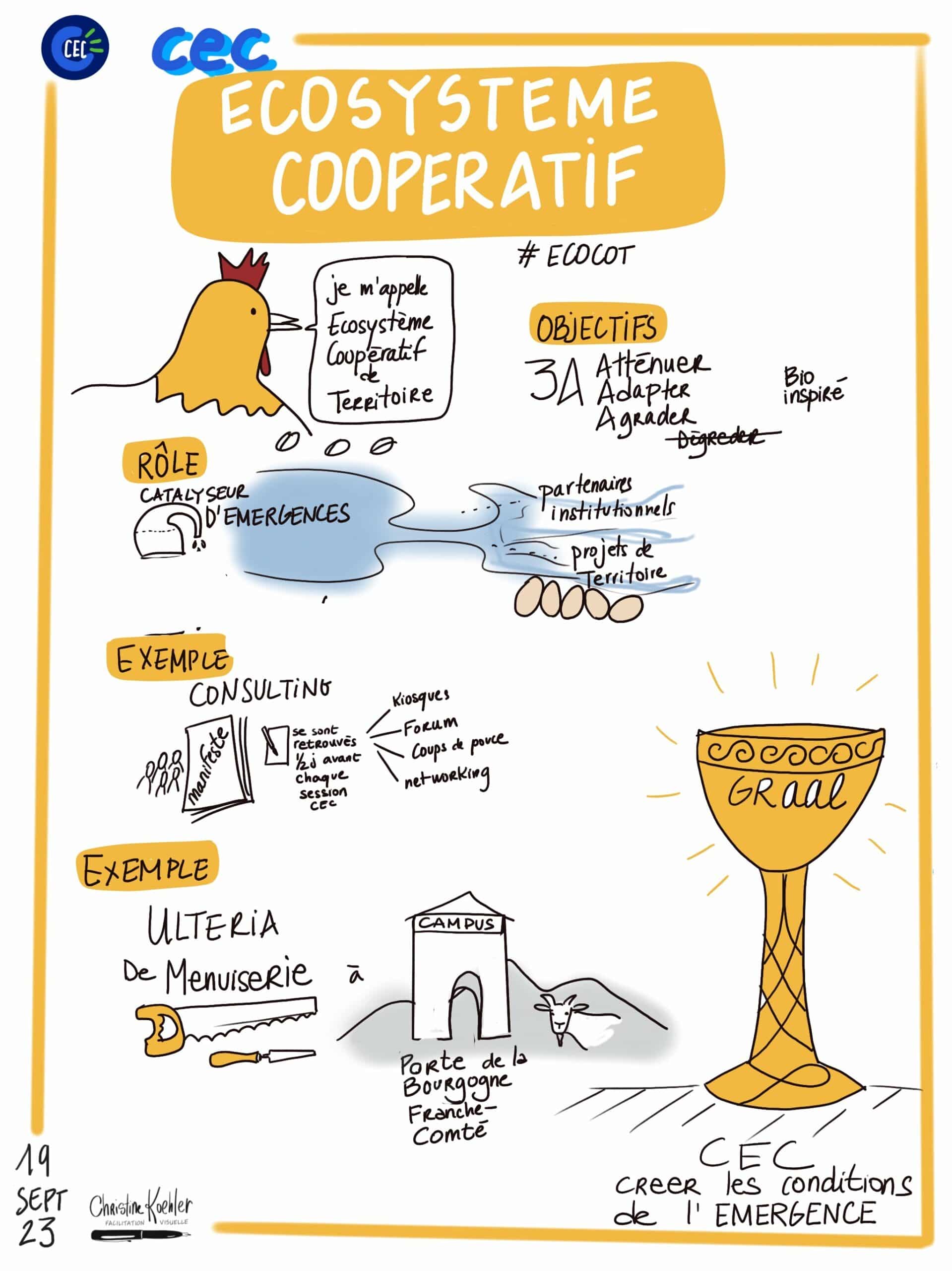 L'écosystème coopératif de terrtoire : le graal de la CEC ! sketchnote